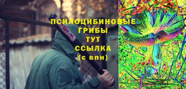 круглые Аркадак