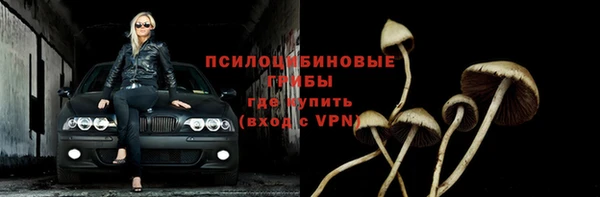 круглые Аркадак
