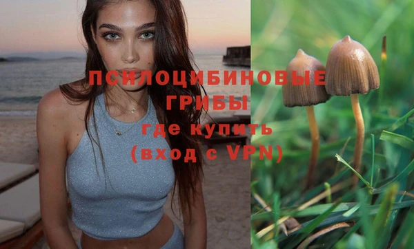 не бодяженный Арсеньев
